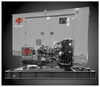 Wildcat RO0045 45kW Roughneck NG/LP/VP Prime Power Generator